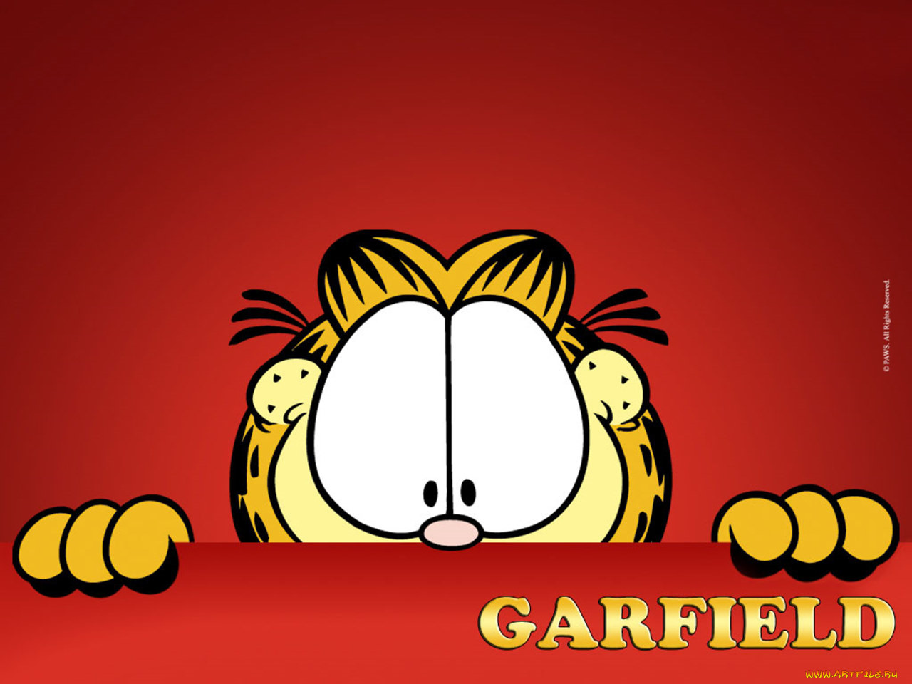 , garfield